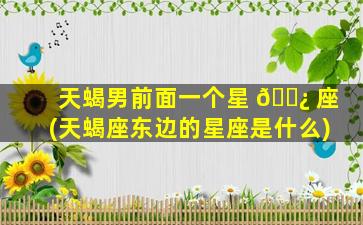 天蝎男前面一个星 🌿 座(天蝎座东边的星座是什么)